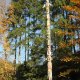 <p>Česká Třebová naučná stezka smyslového vnímaní: největší totem</p>
